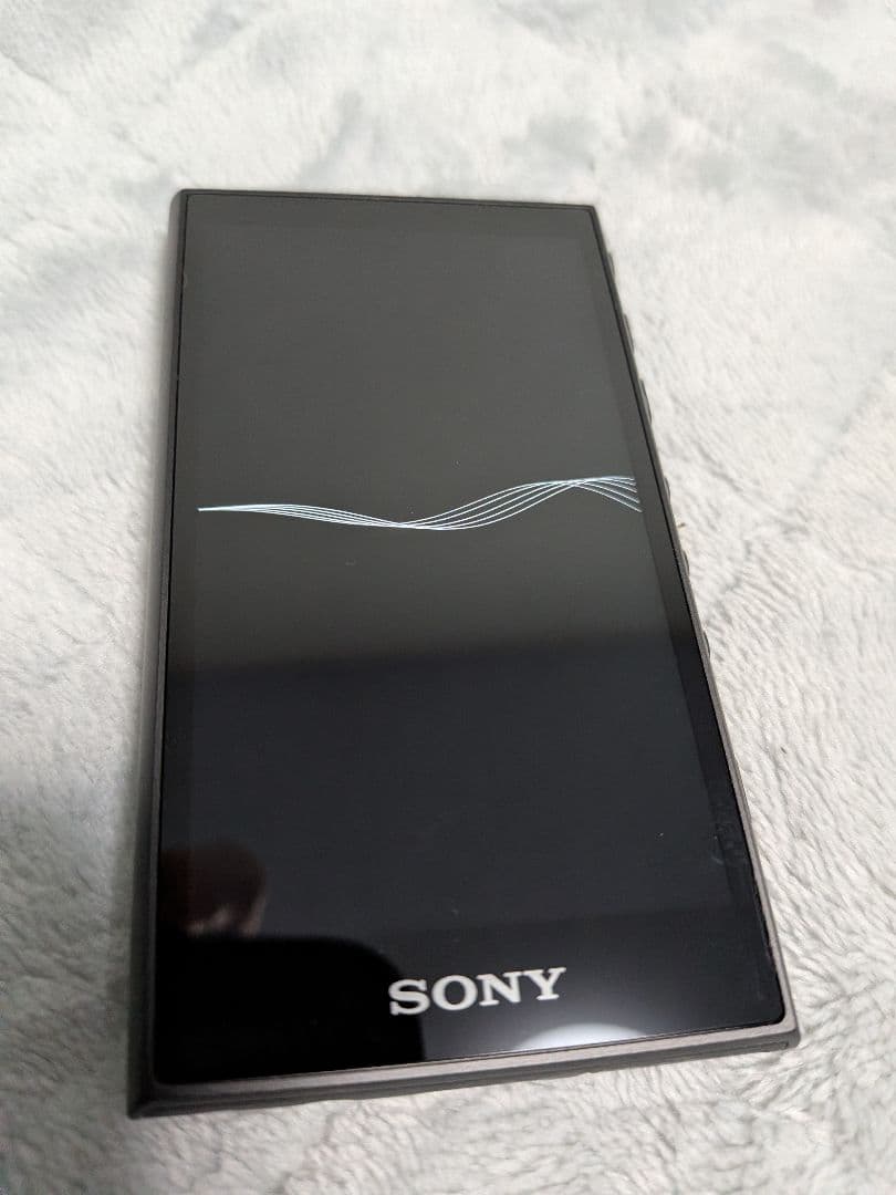 Sony Digital Audio Players Walkman Nw-A106 32Gb