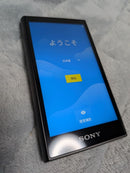 Sony Digital Audio Players Walkman Nw-A106 32Gb