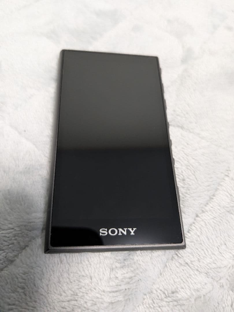 Sony Digital Audio Players Walkman Nw-A106 32Gb