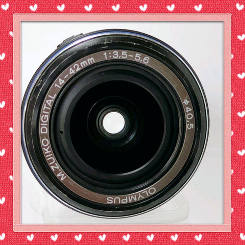 Olympus Mirrorless Interchangeable Lens Cameras E-P1 80424