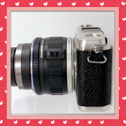 Olympus Mirrorless Interchangeable Lens Cameras E-P1 80424