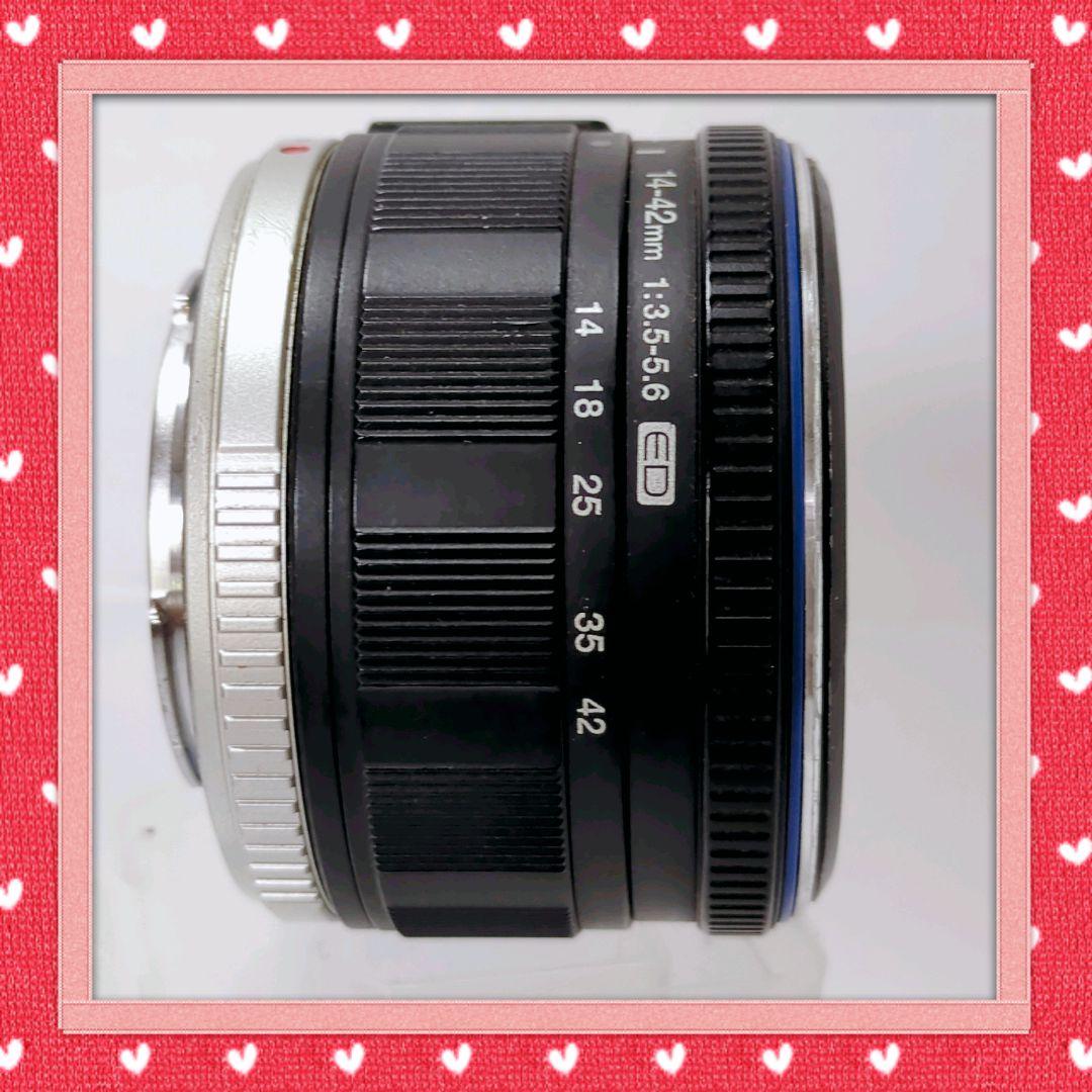 Olympus Mirrorless Interchangeable Lens Cameras E-P1 80424