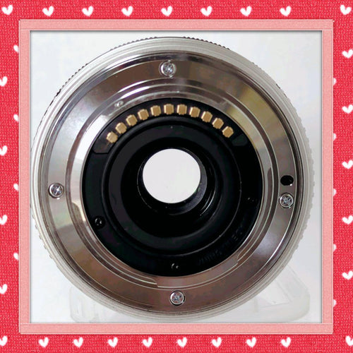 Olympus Mirrorless Interchangeable Lens Cameras E-P1 80424