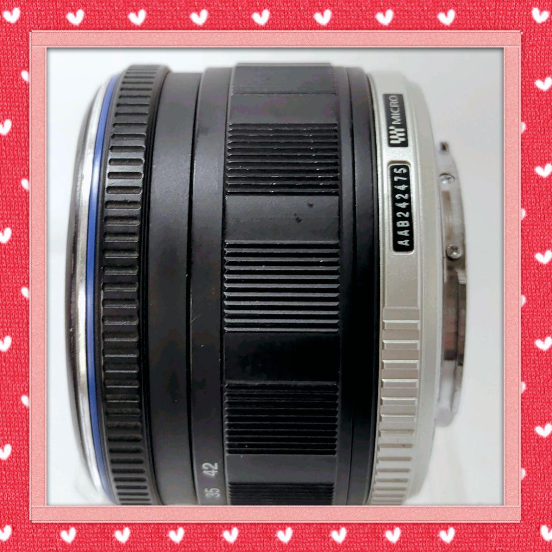 Olympus Mirrorless Interchangeable Lens Cameras E-P1 80424