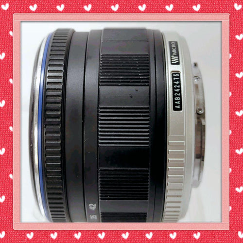Olympus Mirrorless Interchangeable Lens Cameras E-P1 80424