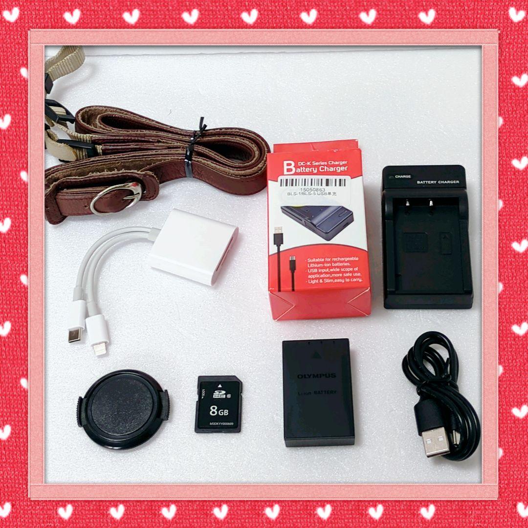 Olympus Mirrorless Interchangeable Lens Cameras E-P1 80424