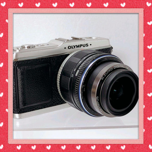 Olympus Mirrorless Interchangeable Lens Cameras E-P1 80424