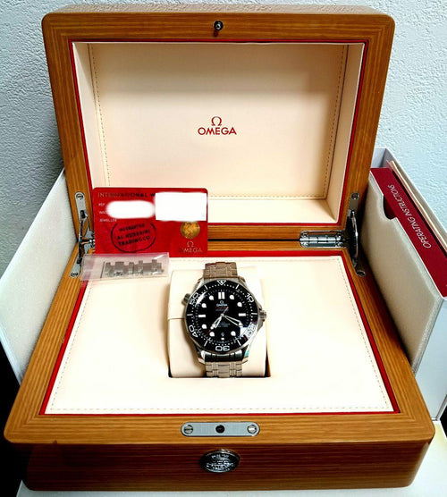 Omega Other Seamaster Professional