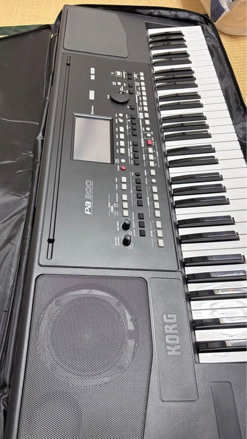 Korg Keyboard Electronic Piano Pa300 61