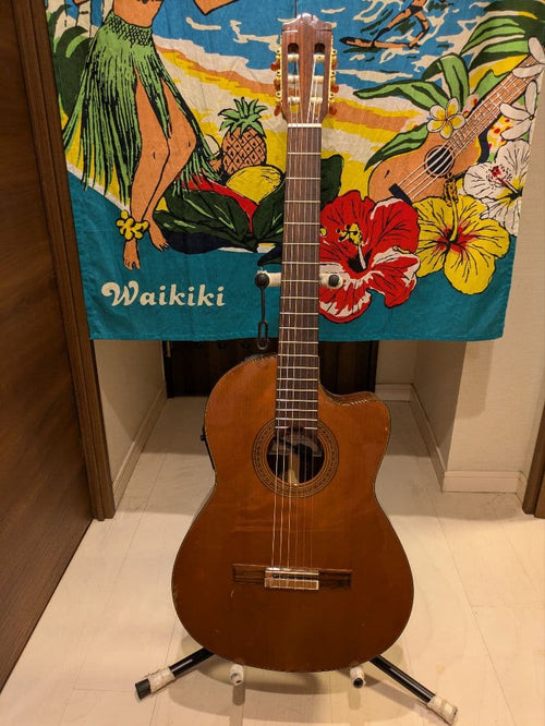 Classical Guitars Yamaha Cgx171Cca