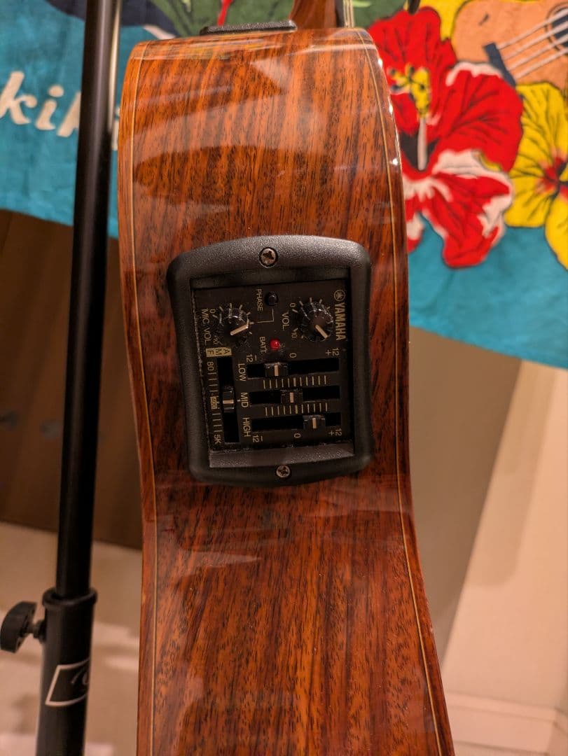 Classical Guitars Yamaha Cgx171Cca
