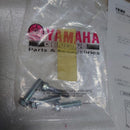 Yamaha Other Yzf-R25 R3