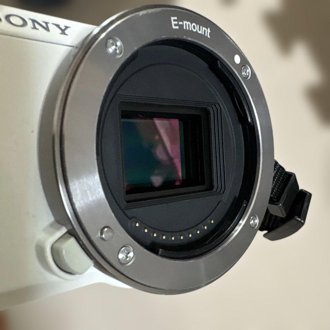 Sony Mirrorless Interchangeable Lens Cameras Nex-5N