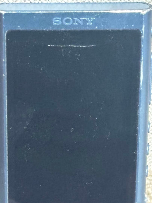 Sony Digital Audio Players Walkman Nw-A55Hn