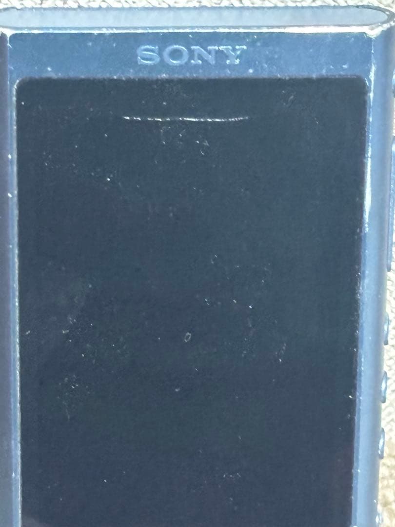Sony Digital Audio Players Walkman Nw-A55Hn