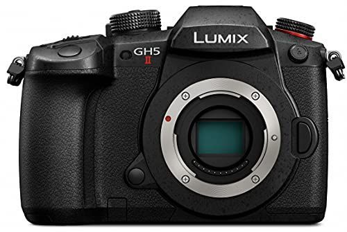 Others (Panasonic) Gh5M2 Dc-Gh5M2