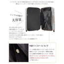 Carry Case M Tsa 4 ~7 1