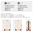 Carry Case M Tsa 4 ~7 1