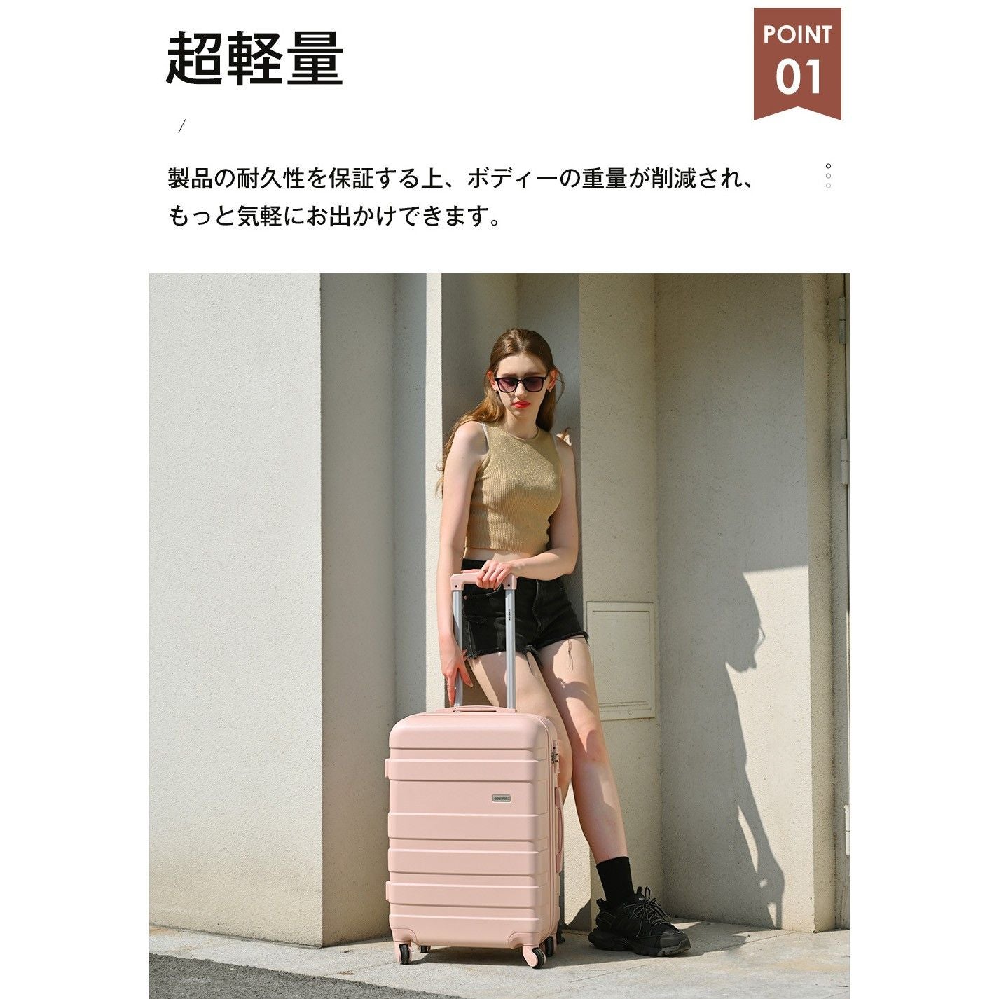 Carry Case M Tsa 4 ~7 1