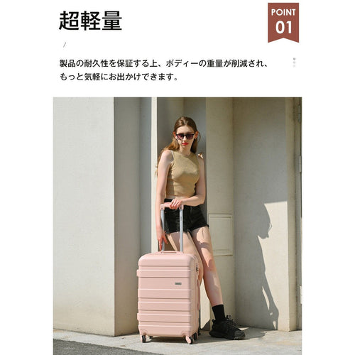 Carry Case M Tsa 4 ~7 1
