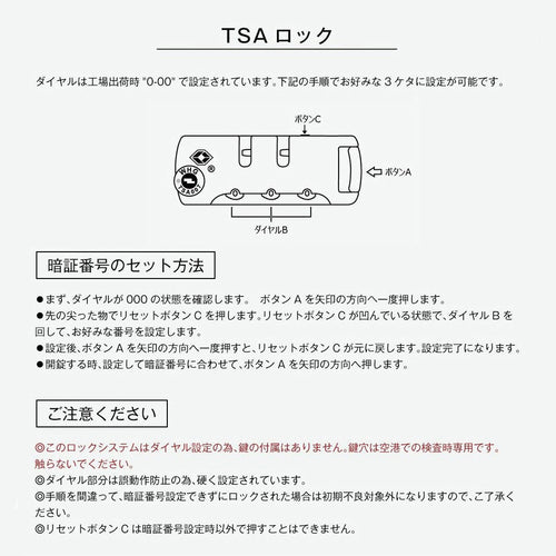 Carry Case M Tsa 4 ~7 1