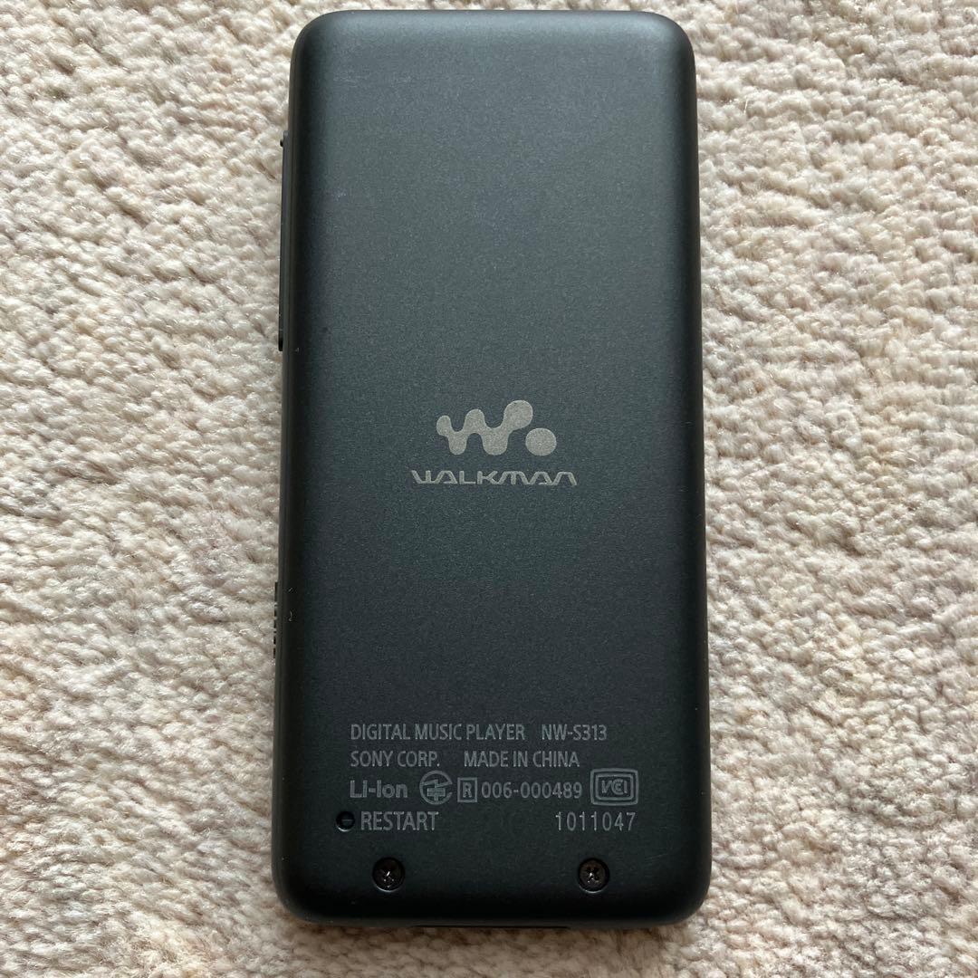 Sony Digital Audio Players Nw-S313