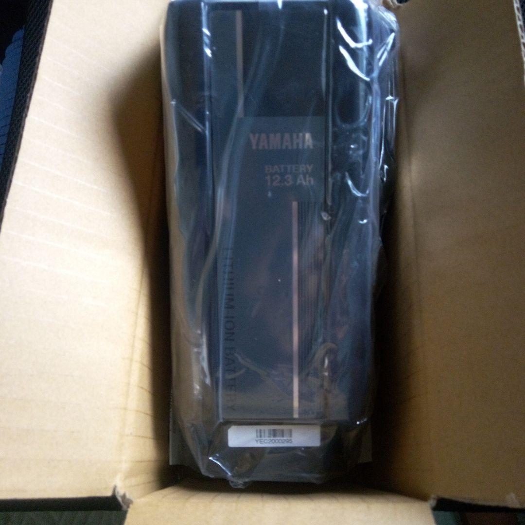 Yamaha Battery Packs 12.3Ah