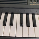 Yamaha Other Portasound Pss-560 Ac