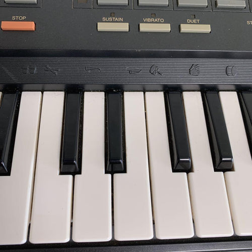 Yamaha Other Portasound Pss-560 Ac