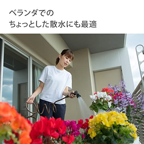 Others (Takagi) G R007Sbrju