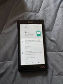Sony Digital Audio Players Nw-Wm1Am2 128Gb