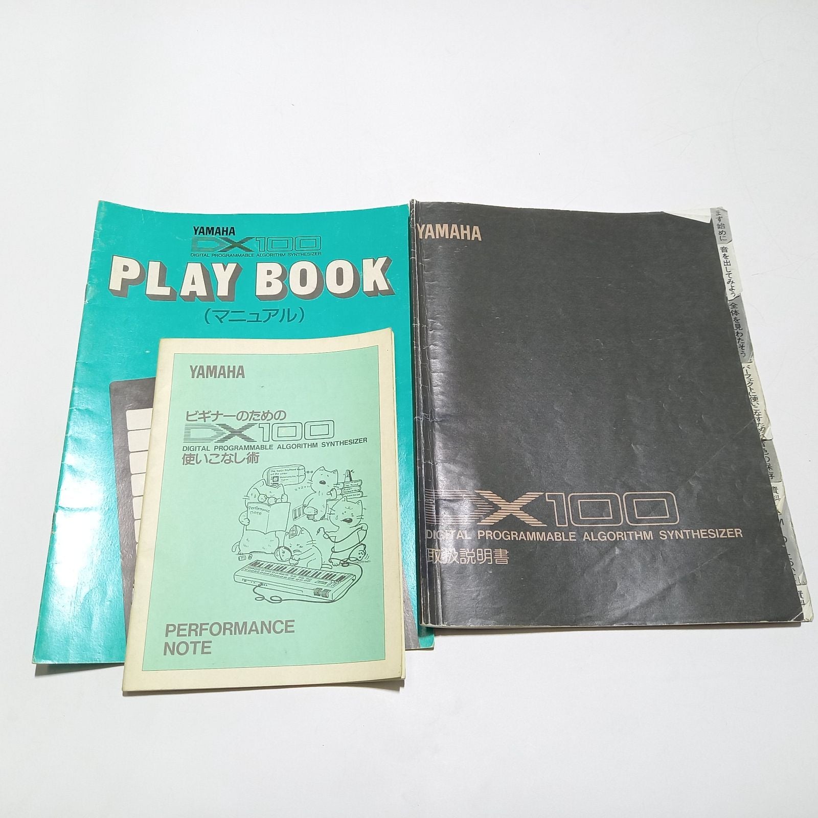 Yamaha Others Dx100