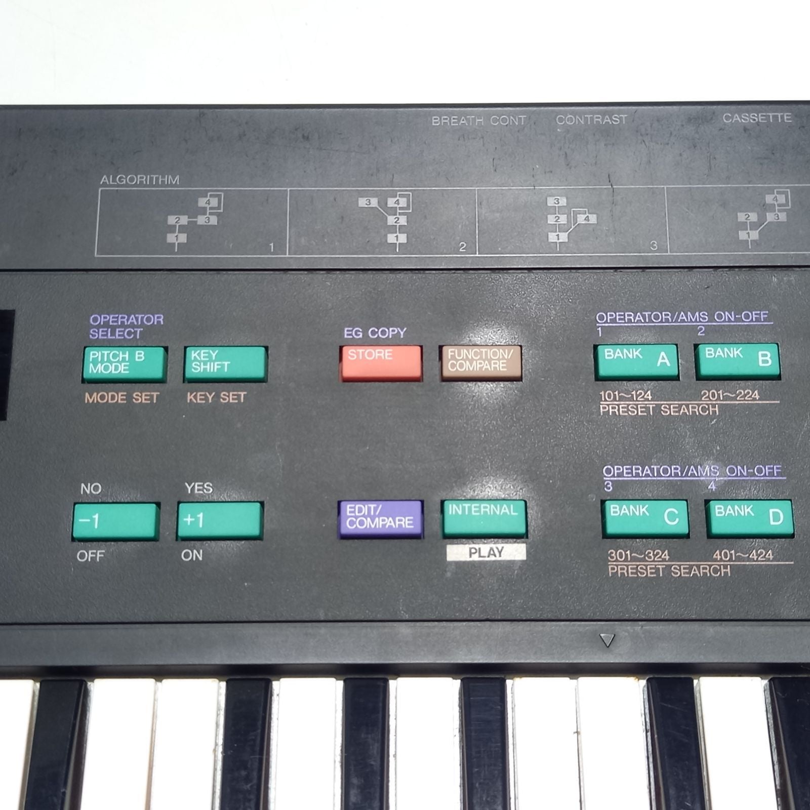 Yamaha Others Dx100