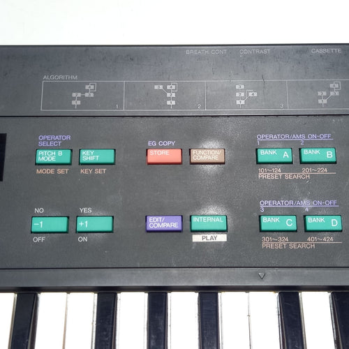 Yamaha Others Dx100
