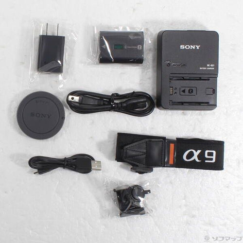 Sony Mirrorless Interchangeable Lips 9 Ilce-9 258