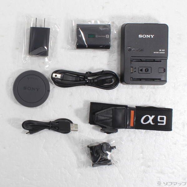 Sony Mirrorless Interchangeable Lips 9 Ilce-9 258