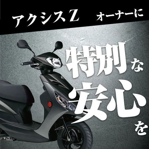 Others Z (2017 Yamaha 100