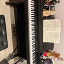 Yamaha Keyboards Digital Pianos Ydp-301