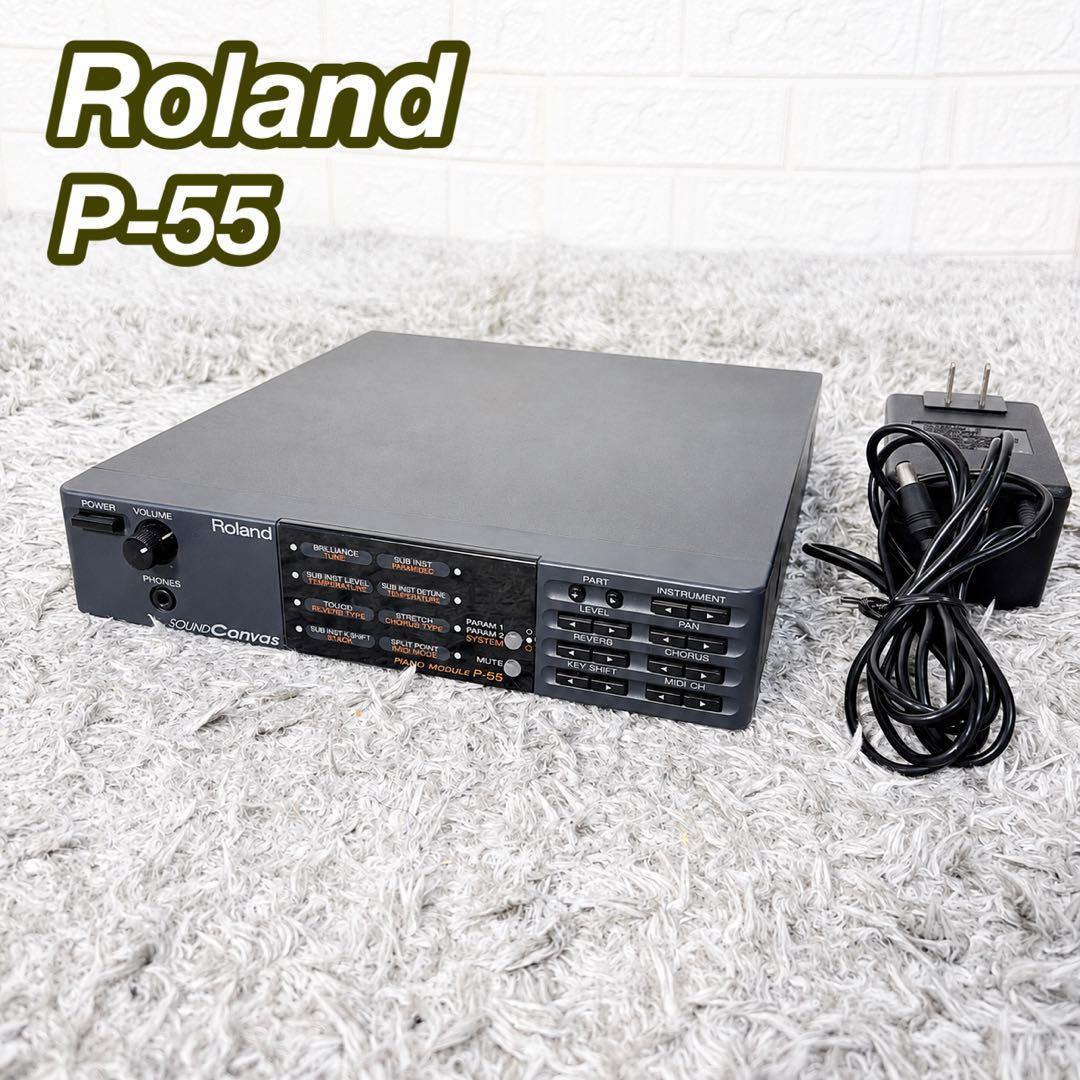Roland Modular Synthesizers Sound Canvas P-55