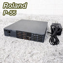 Roland Modular Synthesizers Sound Canvas P-55