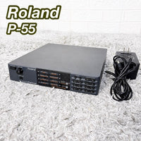 Roland Modular Synthesizers Sound Canvas P-55