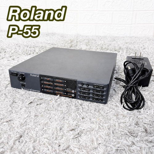 Roland Modular Synthesizers Sound Canvas P-55