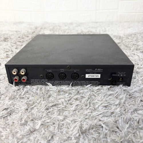 Roland Modular Synthesizers Sound Canvas P-55
