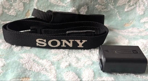 Sony Mirrorless Interchangeable Lens Cameras Ilce6100L