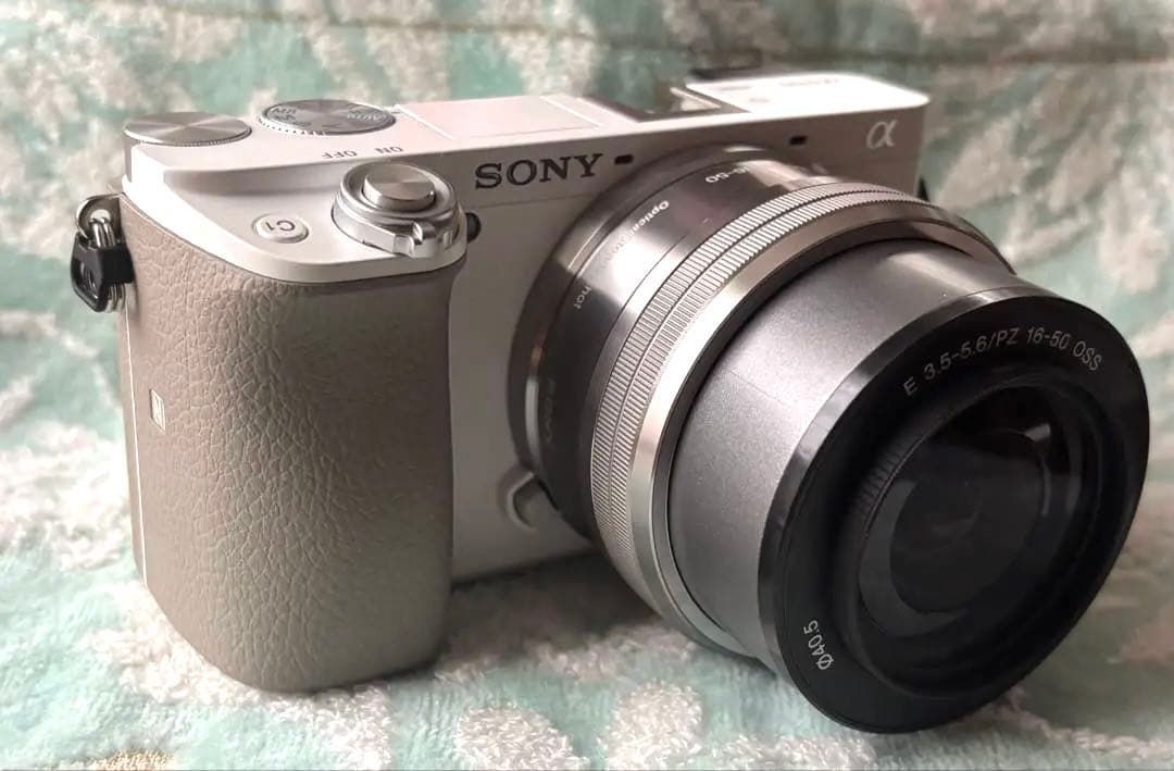 Sony Mirrorless Interchangeable Lens Cameras Ilce6100L