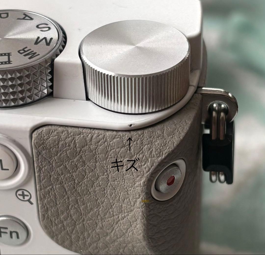 Sony Mirrorless Interchangeable Lens Cameras Ilce6100L