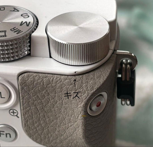 Sony Mirrorless Interchangeable Lens Cameras Ilce6100L