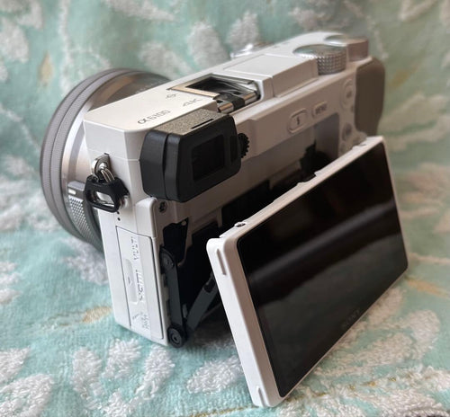 Sony Mirrorless Interchangeable Lens Cameras Ilce6100L