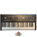 Analog Synthesizer Roland Rs-09