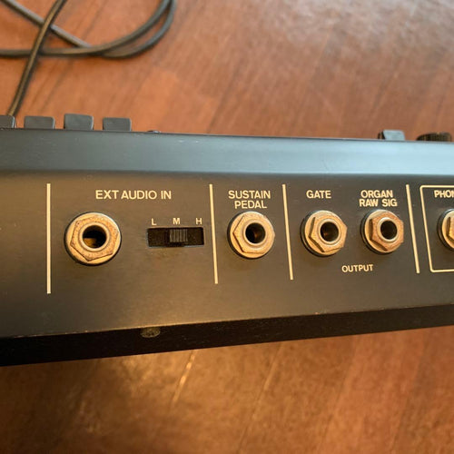 Analog Synthesizer Roland Rs-09